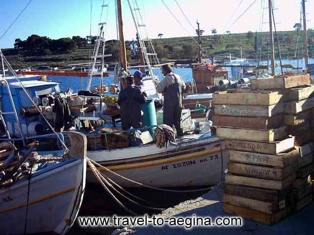  AEGINA PHOTO GALLERY - PERDIKA
