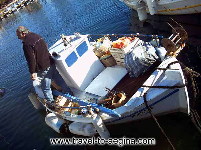  AEGINA PHOTO GALLERY - PERDIKA